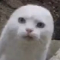 angelaa39864892's profile picture. 