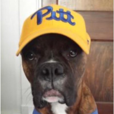 Hail-2-Pitt