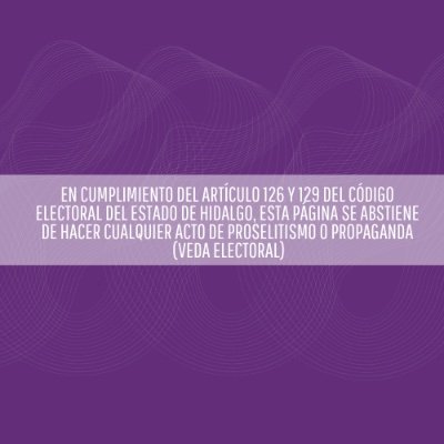 Dirigente Estatal del Partido Encuentro Social Hidalgo @PESHidalgo