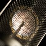 SoundLogics's profile picture. Sound Logics es una empresa y marca registrada, establecida legalmente en Colombia desde el año 2000.
Tenemos en el mercado global mas de 30 años de experiencia