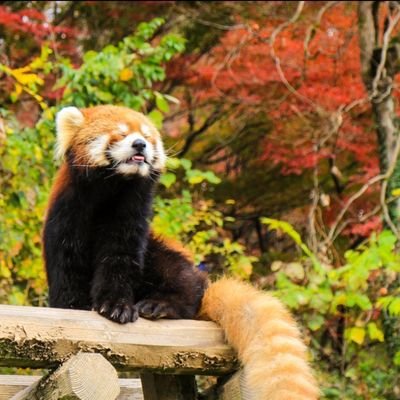 なぎりんさんのプロフィール画像