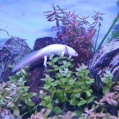 aFN_med_nu's profile picture. สังกัดกระทรวงด่าเพื่อการพัฒนาชาติไทย