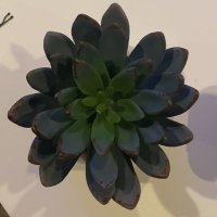 1tsLittt (@1tslittt) 's Twitter Profile