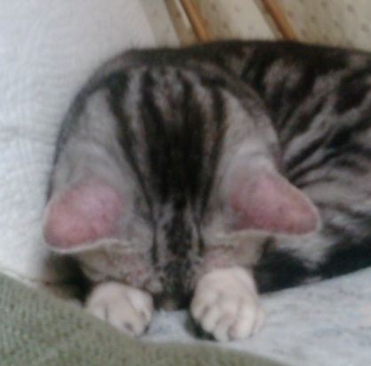 doublebeta's profile picture. 