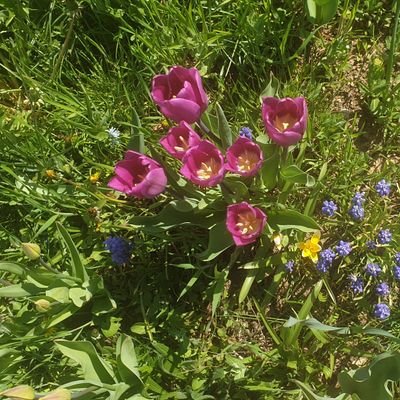 kagoo007's profile picture. 