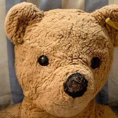 ReginaSansibar's profile picture. 