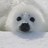 Shogo_Asao's profile image