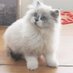Jia_Zijian 🇨🇳 (@zijianjia) Twitter profile photo Jia_Zijian 🇨🇳 (@zijianjia) Twitter profile photo