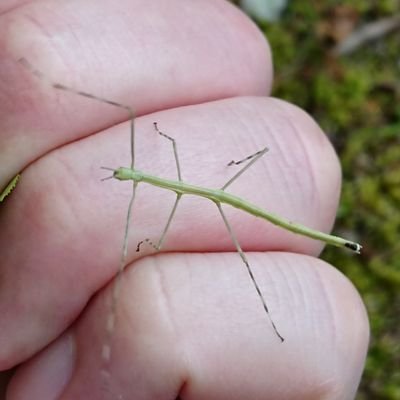 DYIu53PJKRWrvzr's profile picture. 脱皮中