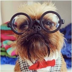 hafta_media's profile picture. We are first humans before anything else.
Don't poke the 🐻.