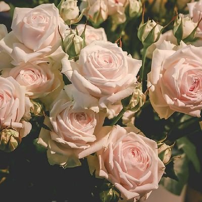 Ridi66877720's profile picture. I love sleeping