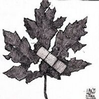 bcorchard (@bcorchard) 's Twitter Profile
