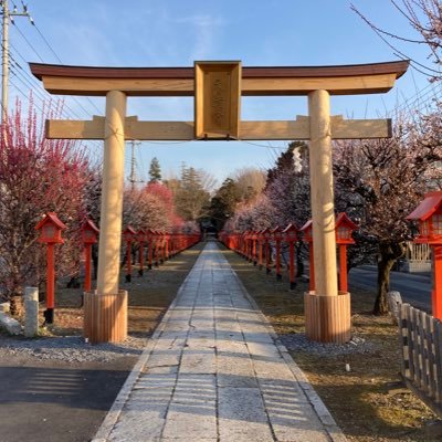 栃木県佐野市に鎮座する菅原道真公を祀る学問の神様です。 撫でたところにご利益がある「なで牛」や悪い事を嘘に替え開運を招くとされる「鷽替神事」を行っています。