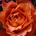 Grafe Studio (@grafestudio) Twitter profile photo Grafe Studio (@grafestudio) Twitter profile photo