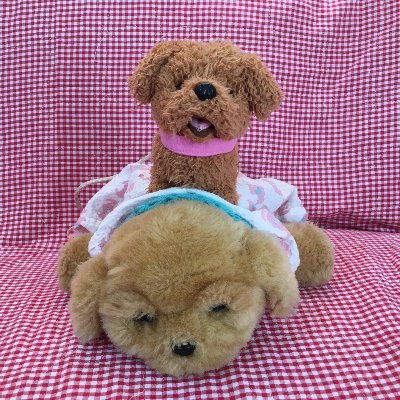 フロントエンドを中心にネットワークについて勉強用のアカウントです。
著作物とは何かも日々考え中
本業は法律を中心にと考えていますがどうなることか
色々なことをもっと面白くできたらいいなと思っています