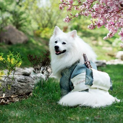 qui99697227's profile picture. 