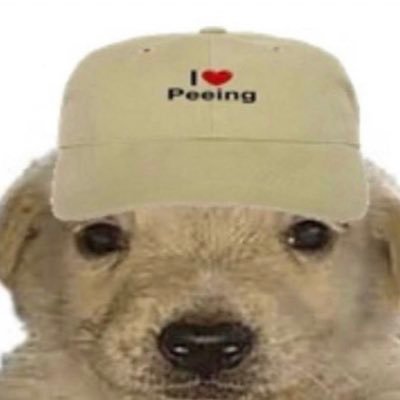 abbe_yyy's profile picture. 