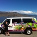 Napa North Wine Tour (@nancystadnick) Twitter profile photo
