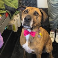 M Duggan (@duggmark) 's Twitter Profile Photo