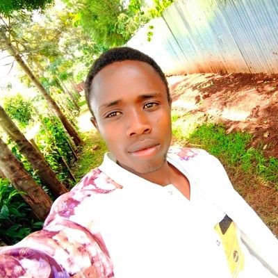 FestusFiester's profile picture. making friends is part of me