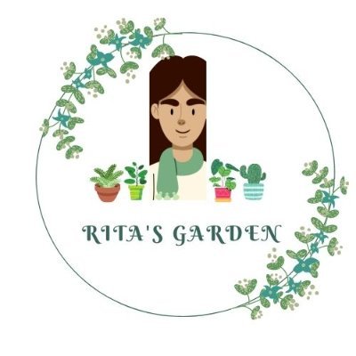 Passionate about plant, DIY and always retweet pictures of  Gardeners
support our youtube channel:
link:https://t.co/yoBg2fKl7K…