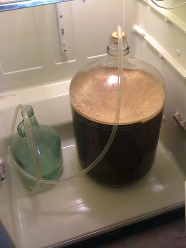 Mmm beer...