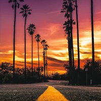 DaVinci (@obm500) 's Twitter Profile Photo