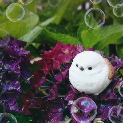 cyima3's profile picture. 🎤アカ🎋さまささ🎋右固定🎋成人済み🎋無言フォロー失礼します🎋(ﾟ∈ﾟ　)