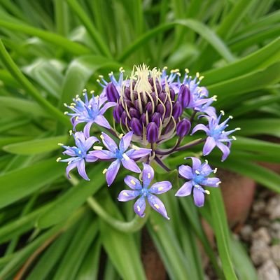 waratte_ikouy's profile picture. 最近好きなもの💖
ラビットキャット
清水美依紗ちゃん←カラオケバトルの頃から🤣
ヒカルくん😈です。

好きなものがあって、応援出来るって素敵なことやね！
勝手にいいねやフォローしています💦