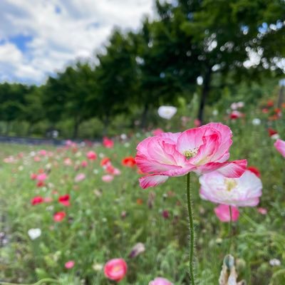 K97020408's profile picture. 20代