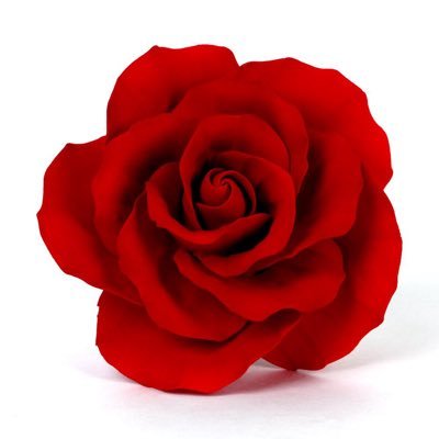 billpay79's profile picture. 