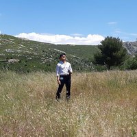 Saran Pankaew (@saranpankaew) 's Twitter Profile