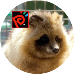 らくいちさんのプロフィール画像