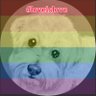 natsrallycoton's profile picture. stable genius, Caps canine, hypoallergenic