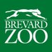 Brevard Zoo (@BrevardZoo) Twitter profile photo