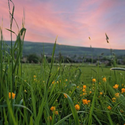 Photographer | Canon 1100D | Landscapes and Nature
Prints : https://t.co/dclRNVOJDP
https://t.co/wEFUeGN3fx