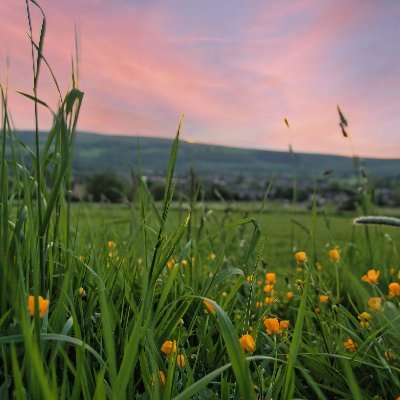 Photographer | Canon 1100D | Landscapes and Nature 
Prints : https://t.co/dclRNVOJDP     
https://t.co/wEFUeGN3fx