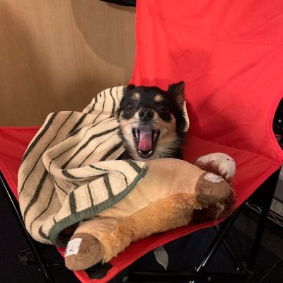 sssshhhhoooo135's profile picture. 🙋♂️🙋♀️🐶普通のサラリーマン。仕事は営業。
在宅ワーカーみたいな机を作るのが好き。
持て余した機材で、副業に挑戦中です。