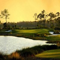 Old Corkscrew GC (@oldcorkscrewgc) 's Twitter Profile