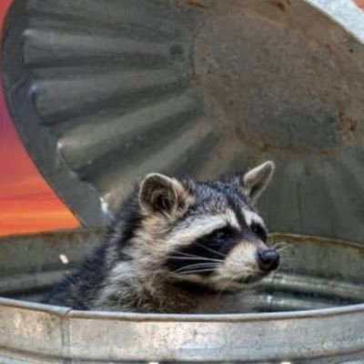 ilovesquirrelz's profile picture. she/her