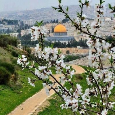 Umkhali43893305's profile picture. ‏‏اللهم لا أوذي و لا أُوذى،،، اللهم السلام يا رب السلام🌸🌸