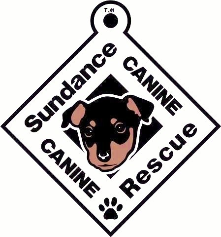 Sundance Canine Rescue Society - providing refuge to dogs who are homeless and in need of a safe place from cruelty and neglect #rescue #canine #dog