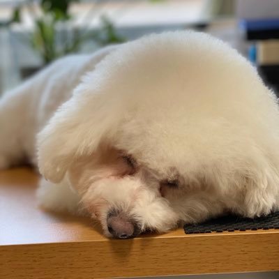 Ns.politanさんのプロフィール画像