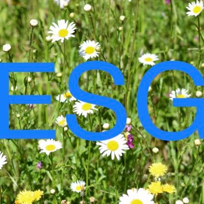 Breaking news on all things ESG (Environmental Social Governance), Stewardship, Engagement