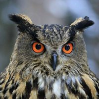 Spotter07 (@spotter071) Twitter profile photo