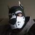 Echo (@thatpupecho) Twitter profile photo Echo (@thatpupecho) Twitter profile photo