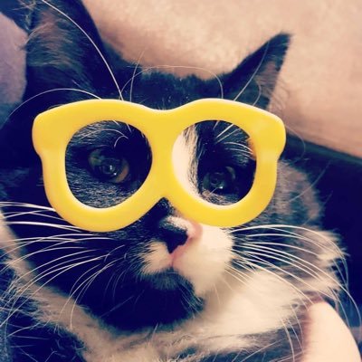 gazzamo's profile picture. Graphic Design Studio Manager. All views are glorious and my own.