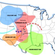 sodpoodle10's profile picture. .