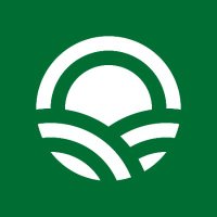 Seso (@sesolabor) 's Twitter Profile