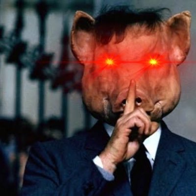 CriptoMorris's profile picture. In Crypto We Trust! To The Moon!! 🚀🌕